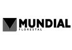 cliente_mundial_florestal